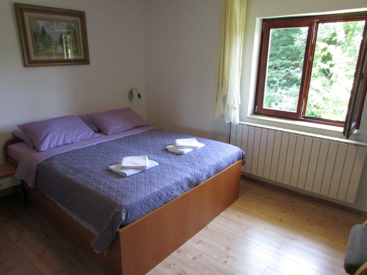House Nenad Hotel Plitvicka Jezera Exterior photo